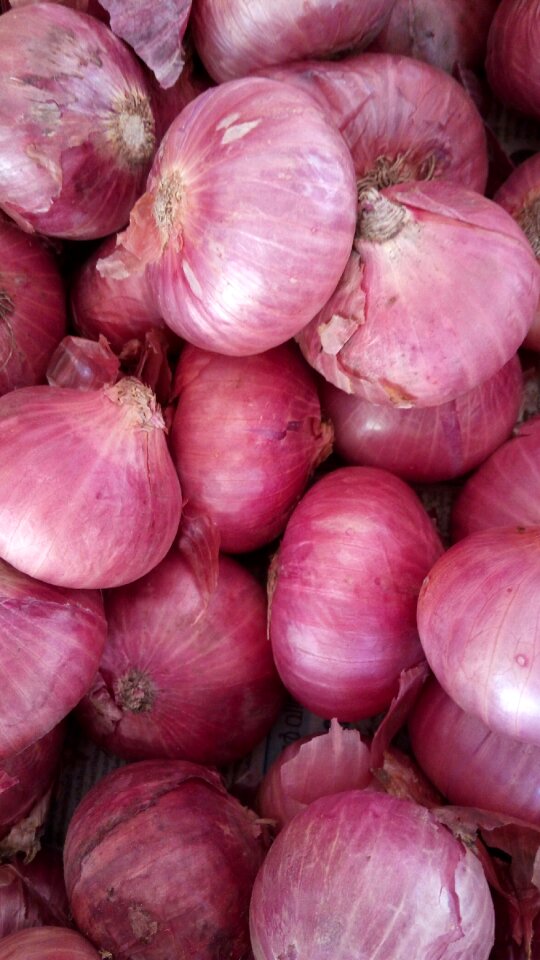 Agriculture green food