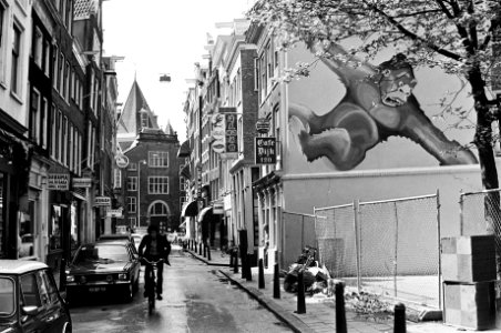 Dieren, muurschilderingen, apen, straatbeelden, Bestanddeelnr 930-2931