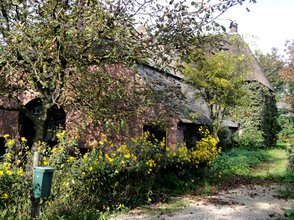 Dieden Rijksmonument 32386 Achterstraat 6