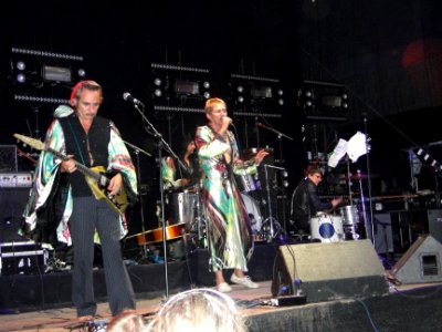 Die Goldenen Zitronen 2011