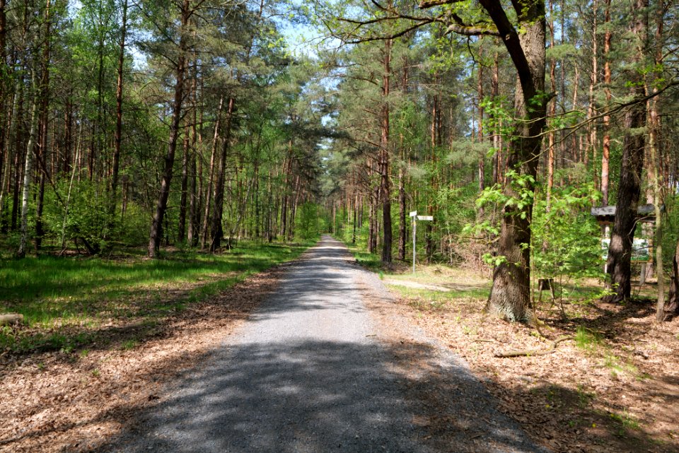 Diedersdorfer Heide und Großbeerener Graben 2021-05-11 11