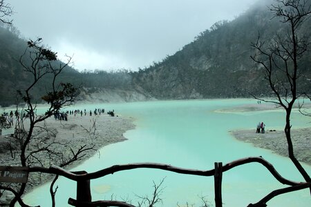 Indonesia dead tree crater