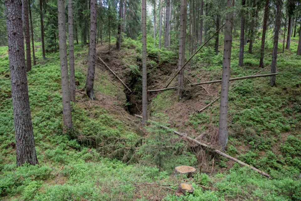 Diebskeller (D 214) 01