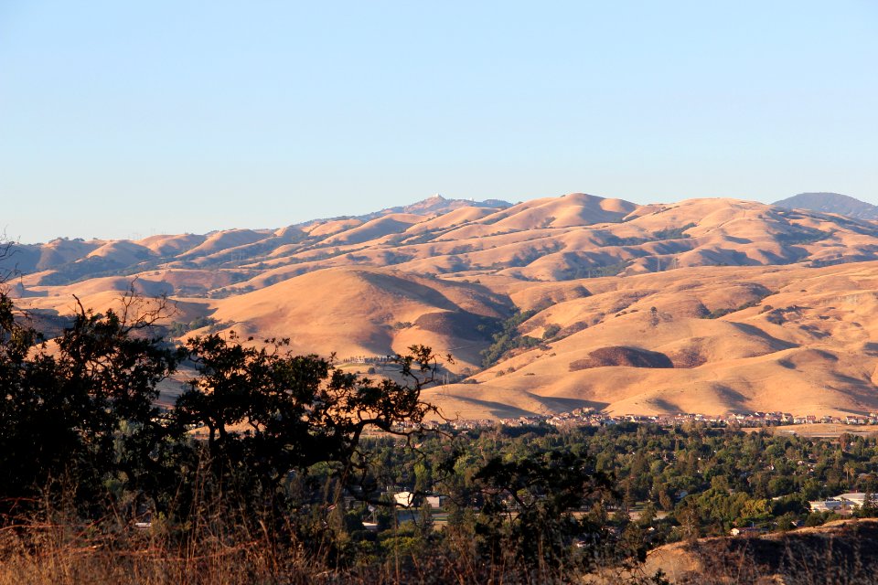 Diablo Range viewed from Santa Teresa County Park, July 2015