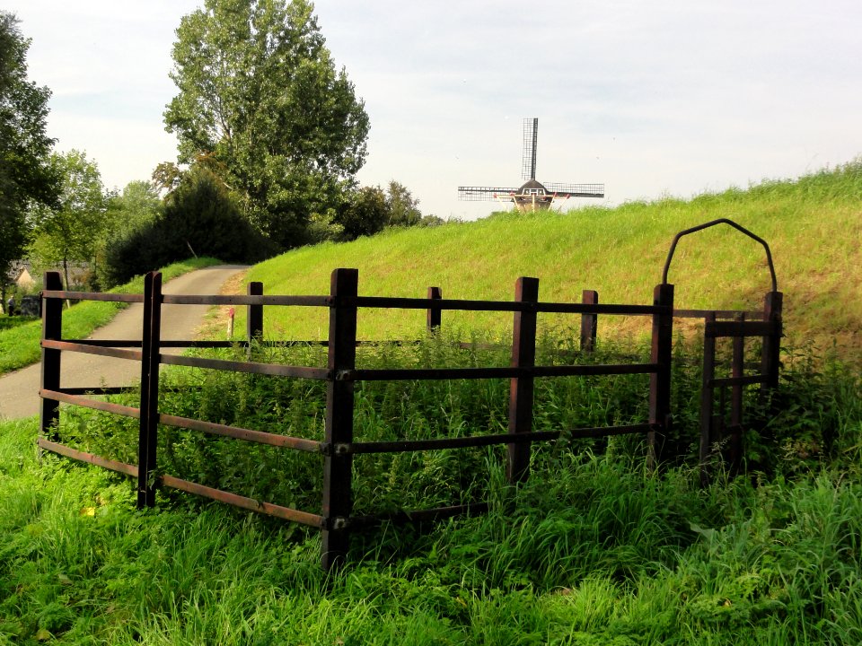 Dieden Rijksmonument 518233 schutkooi, op de achtergrond de molen
