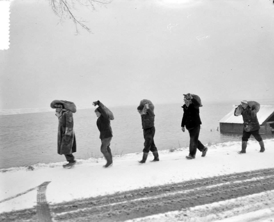 Dijkwerkers in sneeuw te Tholen, Bestanddeelnr 905-5354