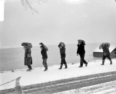 Dijkwerkers in sneeuw te Tholen, Bestanddeelnr 905-5354