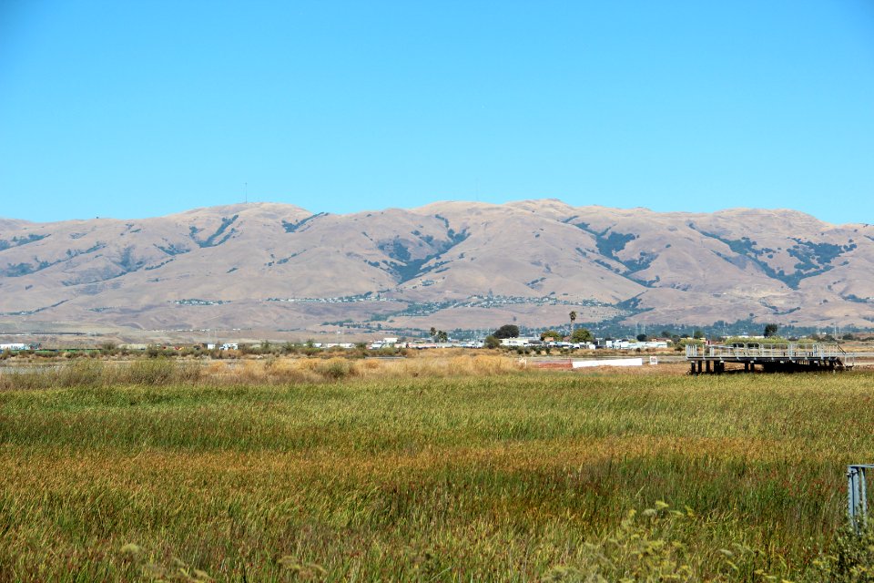 Diablo Range viewed from Alviso Marina County Park, Aug 2019