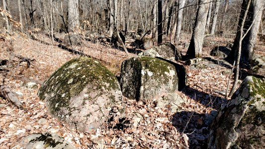 Diabase boulders 20210302
