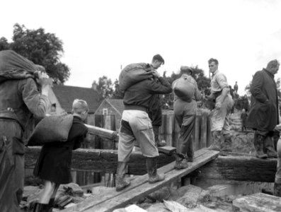Dichting Schuddebeursdijk bij Hekelingen op Voorne-Putten, Bestanddeelnr 908-8954