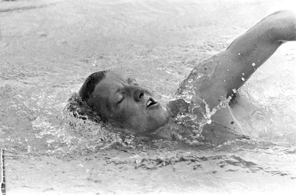 Dick Langerhorst in aktie, Bestanddeelnr 920-5717