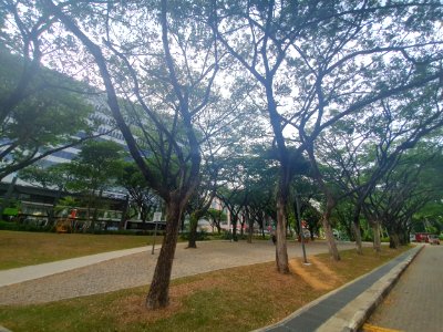 Dhoby Ghaut Green photo