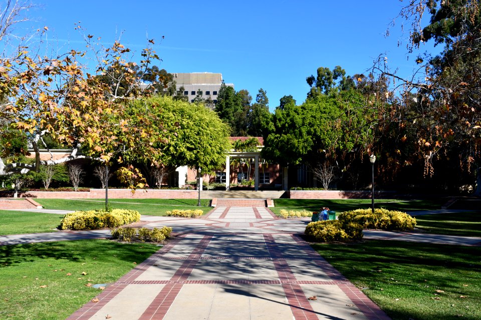 Dickson Plaza