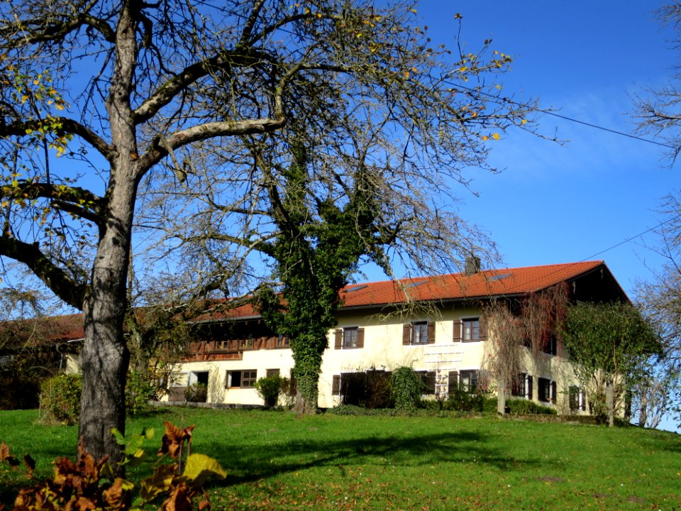 Dichau Georgenstraße 15