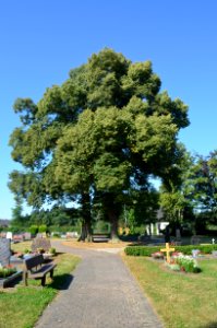 Dickenschied, Friedhof
