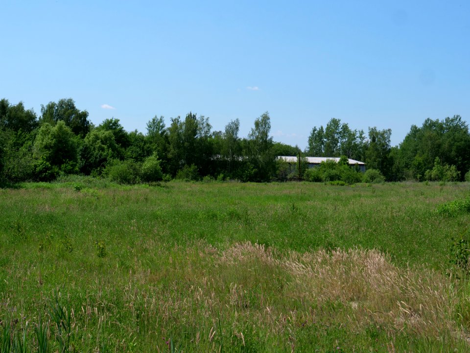 Destructed village Haidemühl 2019-06-05 06