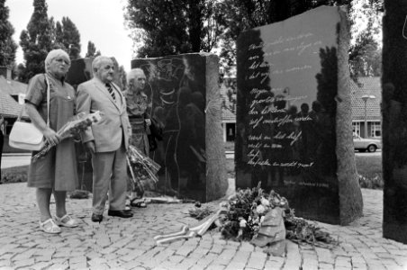 Dhr. Piet Laros (m), Bestanddeelnr 932-6593