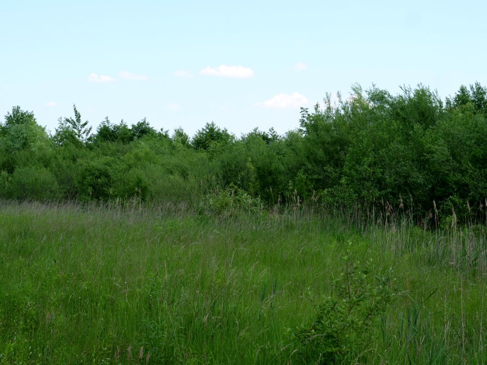 Destructed village Haidemühl 2019-06-05 15