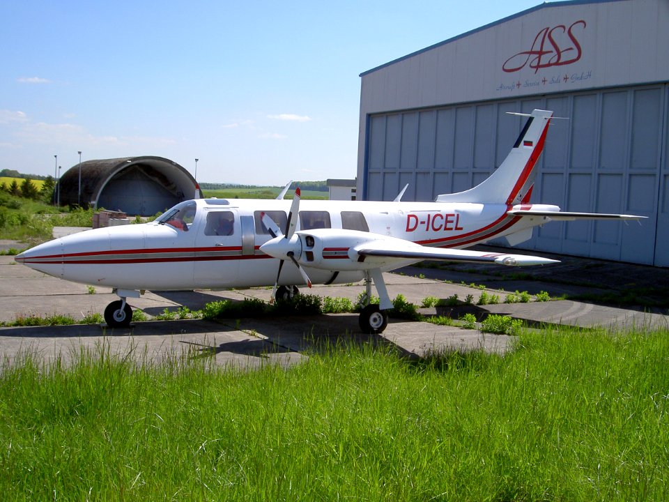 D-ICEL