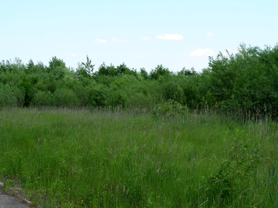 Destructed village Haidemühl 2019-06-05 13
