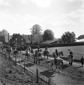Diamanten bruiloft Hendrikse-Roozen te Altweert (L), Bestanddeelnr 901-7074