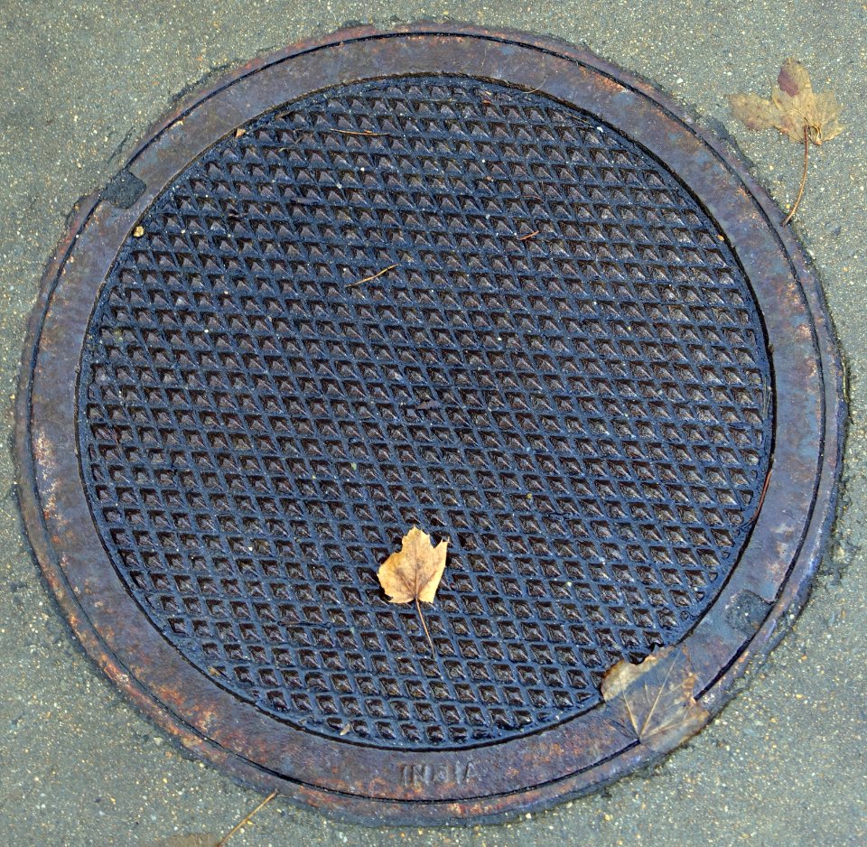 Diamond disk India - Arlington, MA - DSC03303