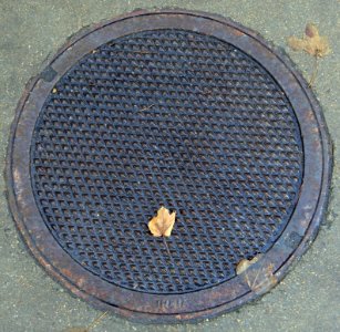 Diamond disk India - Arlington, MA - DSC03303