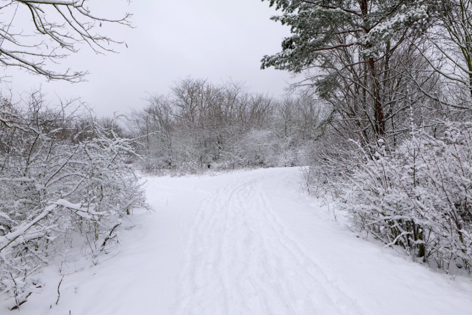 Deponie Wannsee with snow 2021-01-30 26