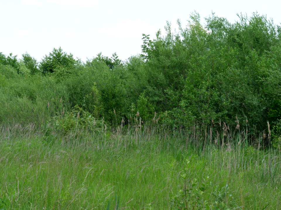 Destructed village Haidemühl 2019-06-05 14