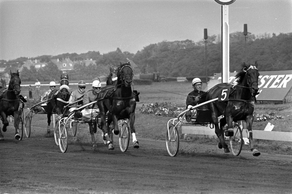 Derby voor dravers op Duindigt rechts winnaar Ironie in aktie, Bestanddeelnr 923-7218