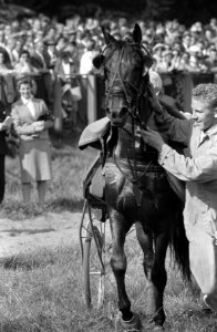 Derby over 2500 meter te Duindigt, winnaar Ybe van Papenhoek, Bestanddeelnr 911-4838