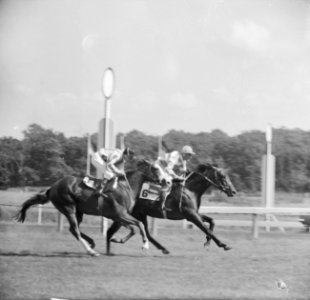 Derby op Duindigt Axkit Hollandia met WH Geersen, Bestanddeelnr 914-1743