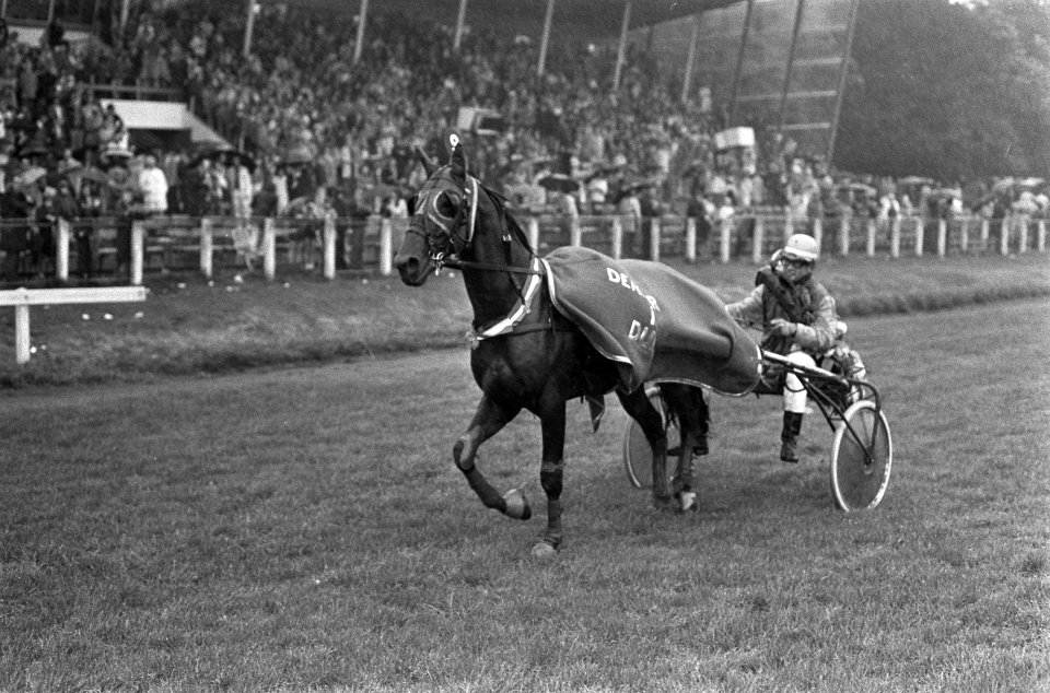 Derby voor dravers op Duindigt, winnaar Lento H met rijder Wim Velis, Bestanddeelnr 926-5920