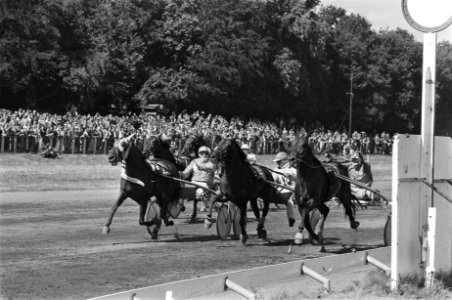 Derby voor driejarigen op Duindigt, winnende Omsa Pride met Wagenaar. Olafski Il, Bestanddeelnr 928-7140