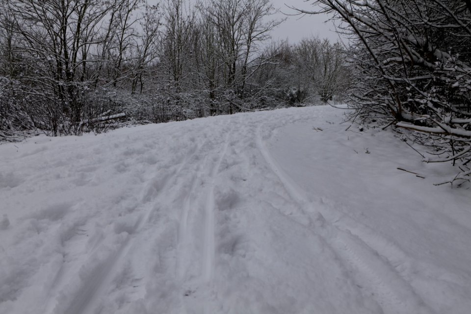 Deponie Wannsee with snow 2021-01-30 04