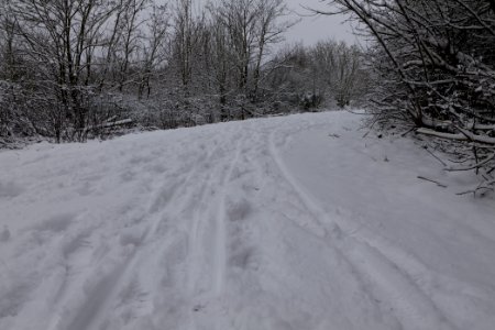 Deponie Wannsee with snow 2021-01-30 04