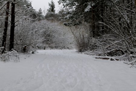 Deponie Wannsee with snow 2021-01-30 03