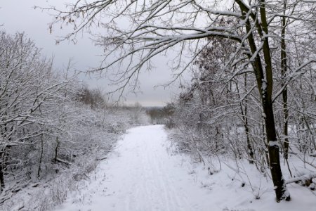 Deponie Wannsee with snow 2021-01-30 17