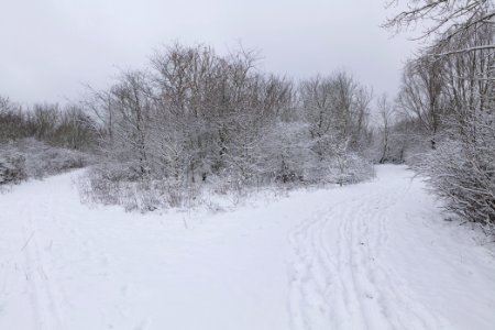 Deponie Wannsee with snow 2021-01-30 27
