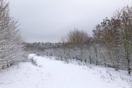 Deponie Wannsee with snow 2021-01-30 13