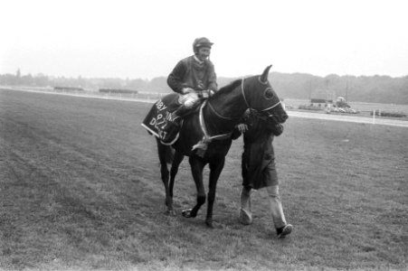 Derby te Duindigt, Sasquatsch met jockey Durr na de race, Bestanddeelnr 925-7279