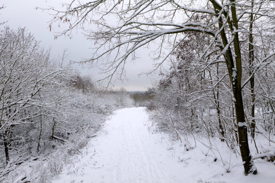 Deponie Wannsee with snow 2021-01-30 16
