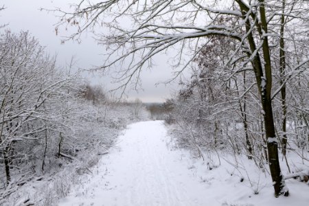 Deponie Wannsee with snow 2021-01-30 16
