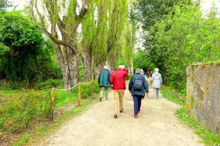 Departing - Giardino di Ninfa, Italy - DSC03205