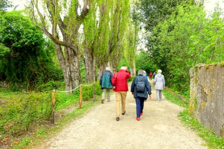 Departing - Giardino di Ninfa, Italy - DSC03205 photo