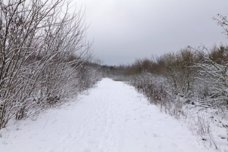 Deponie Wannsee with snow 2021-01-30 72