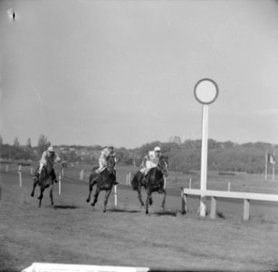 Derby op Duindigt (Flocondor), Bestanddeelnr 913-9900