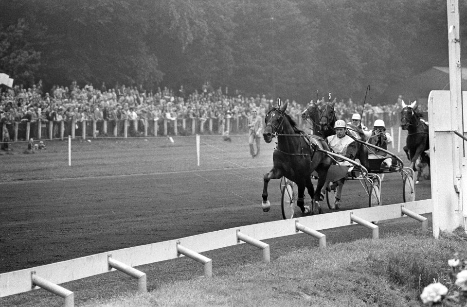 Derby op Duindigt Monty Buitenzorg (nr 1) finisht als eerste, Bestanddeelnr 927-3684