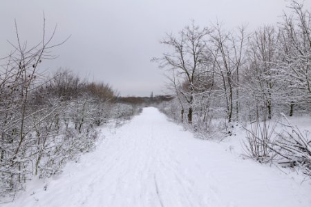 Deponie Wannsee with snow 2021-01-30 69