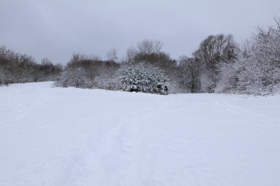 Deponie Wannsee with snow 2021-01-30 07